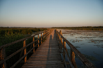 Fototapeta premium Golden Sunrise over Federsee Wetlands in Southern Germany