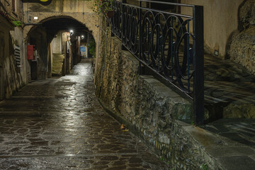 Fototapeta premium night view of the village of Maierà, Cosenza, Italy