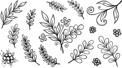 Fototapeta premium Hand Drawn Floral Branch and Leaf Vector Element Set with Berries for Wedding Invitations, Greeting Cards, Elegant Botanical Decorations, and Border Designs