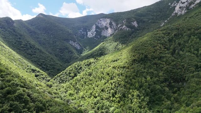 Valle montana ricoperta da foresta verde con pendii ripidi, pareti rocciose e luce naturale che crea contrasti tra zone illuminate e ombra