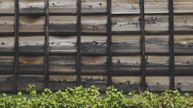 日本の和風でレトロな背景、伝統的な木造建築の板壁と生い茂る草
