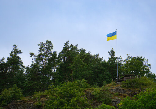 Ukrainian flag flying on a hilltop above a pine forest