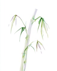 Naklejka premium Watercolor painting of minimalist bamboo stalks, minimalist, hand-drawn, soft pastel colors, white background, soft edges, botanical illustration, cute, simple, negative space for copy, artistic style