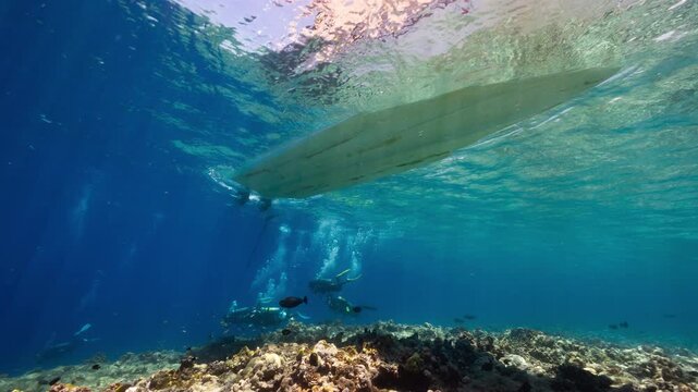 Underwater shot of Dive boat and SCUBA Divers above a reef in the Palau Marine Sanctuary