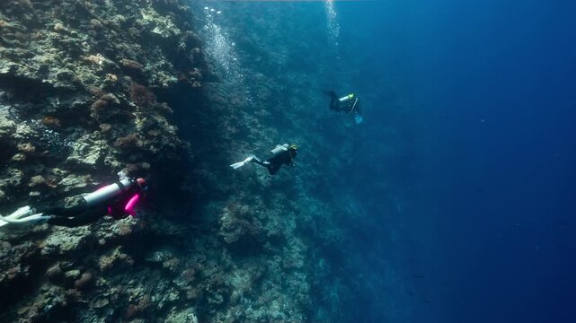Underwater shot of 3 SCUBA Divers swimming along a deep tropical wall in the Palau Marine Sanctuary