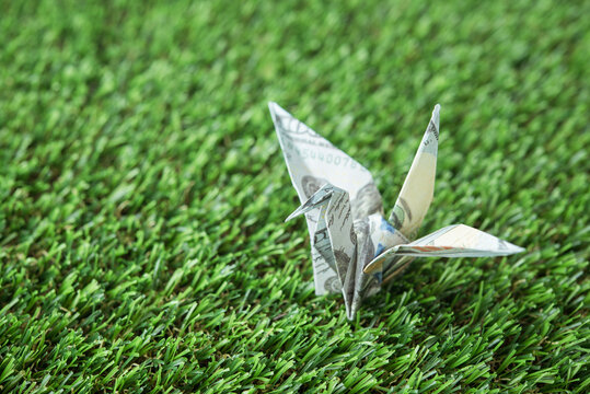Close up US dollar bill banknote flapping bird on grass with copy space. Financial freedom through passive income, success wealth from investment, interest rate from bank account and so on concept.