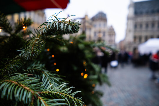Branches Of The New Year's Tree In The Square Against The Background Of The Christmas Fair