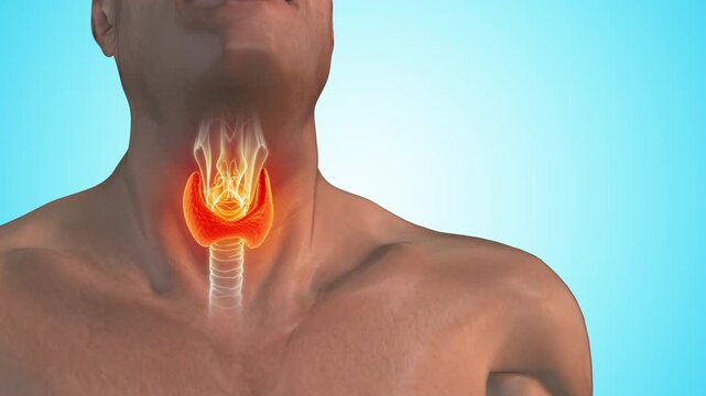 Human Neck With Painful Thyroid Gland