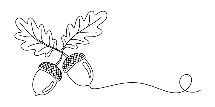Continuous single line drawing of two acorns with oak leaves in a simple minimalist style for autumn season design elements and nature illustrations