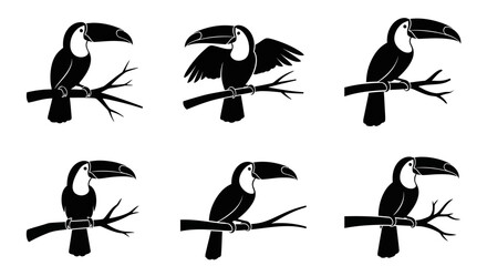 Obraz premium Silhouettes of toucan birds perched on tree branches.