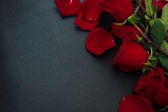 Roses lay on a dark surface in a simple arrangement offering a classic look that highlights their color and shape in a casual setting copy space