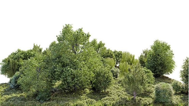  forest tree line isolated on transparent background