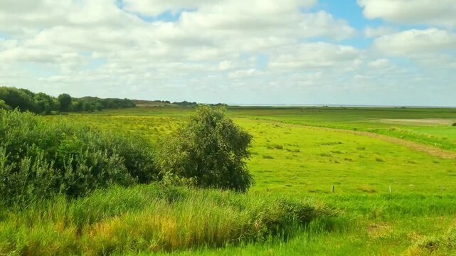 Lush green landscape transitions from open fields to a narrow waterway bordered by vibrant vegetation under a bright blue sky with fluffy clouds