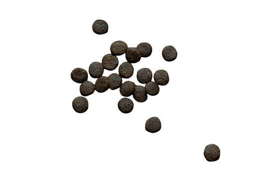 Dry kibble pet food for dogs or cats isolated on pure white background, animal nutrition asset
