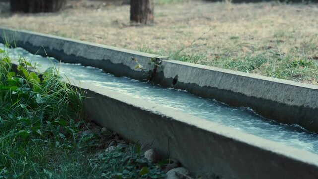 Fast flow water in a concrete irrigation ditch