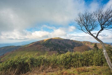 Fototapeta premium 美作アルプス 後山 駒の尾山 船木山