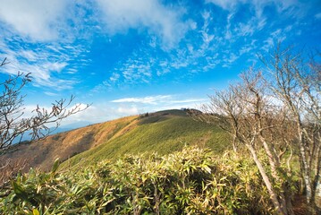 Fototapeta premium 美作アルプス 後山 駒の尾山 船木山