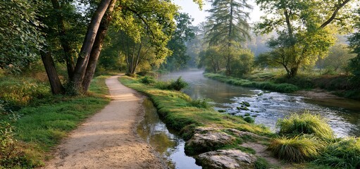 Fototapeta premium Countryside trail next to a calm stream bathed in gentle morning light, ideal for tranquil nature walks.