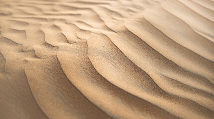 Abstract nature backdrop. Decorative warm golden desert dune flowing rippled sand glowing light. Minimalist desert sand texture design travel. Dune curves wall fine art wallpaper background copy space © icemanphotos