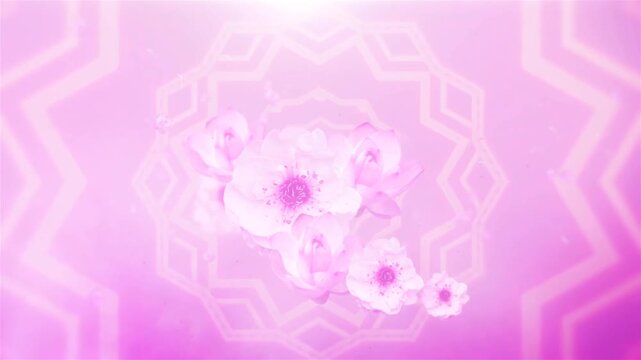 Mystical Botanical Kaleidoscope Motion Graphic - Floral Lotus and Cherry Blossom Tunnel Backgroundabstract purple background