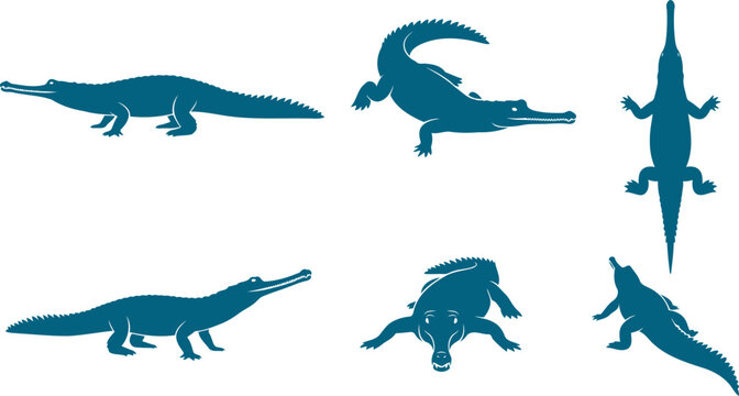 Pack of slender snouted crocodile and gharial silhouettes on transparent background vector