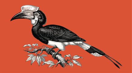 Fototapeta premium Detailed illustration of hornbill bird on branch with orange background