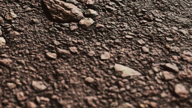 Small rocks and dirt cover the ground in an outdoor area. The texture shows various shapes and colors of stones. No plants or animals are visible in this scene.
