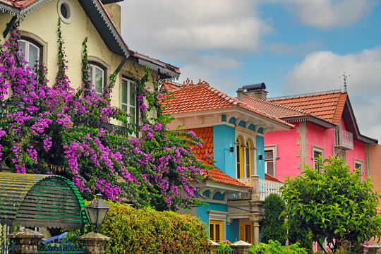 Colorful Traditional Houses and Vibrant Purple Bougainvillea Flowers in Sintra Portugal