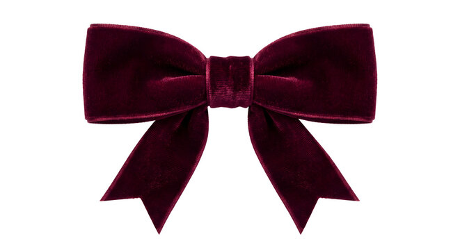 Dark red burgundy velvet ribbon bow