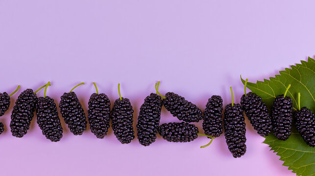 Fresh ripe black mulberries with green leaves arranged in a horizontal line on pastel background