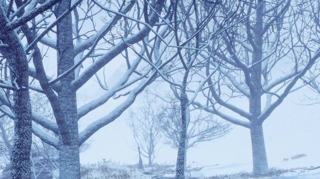 Snow covers the branches of trees in a winter scene. The atmosphere is gray and cold. This setting shows a quiet and chilly day in nature during the winter season.