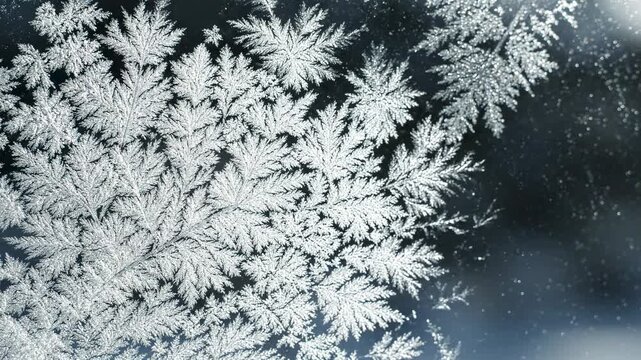 macro close up of intricate frost patterns forming delicate ice crystals on a dark glass surface during winter, abstract seasonal background