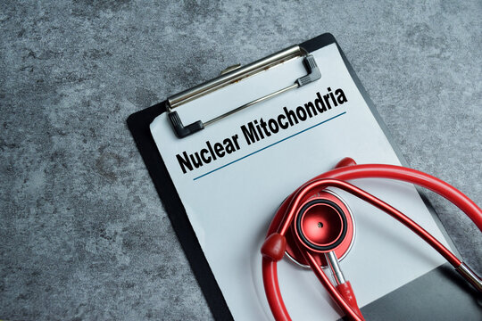 Concept of nuclear mitochondria write on clipboard isolated on Wooden Table.