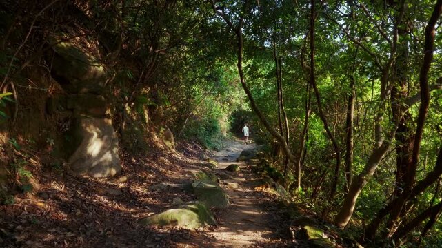 A person walking along a narrow dirt hiking trail through dense green forest, with sunlight filtering through the trees, rocky ground covered in fallen leaves, and lush vegetation surrounding the path