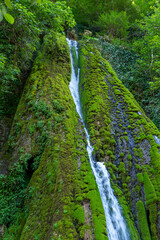 Kaghu Waterfall, located in the Samegrelo region of Georgia, A vibrant waterfall cascades down a mossy stone © k_samurkas