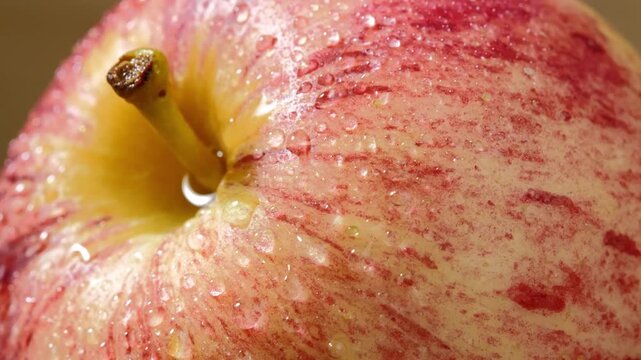 Fresh Red Apple with Water Droplets on Its Skin