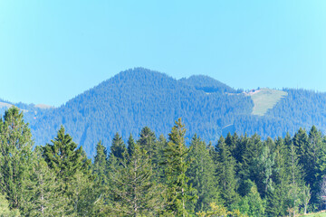 Fototapeta premium Bavarian Alpine Landscape with Dense Pine Forest in Bad Bayersoien