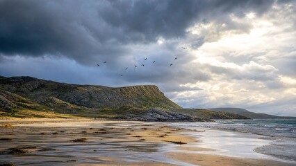 Barnacle geese crossing a bright opening in storm clouds above a wide  © jiwon