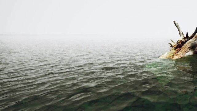 A view of calm water at the edge of a shore. Rocks are present along the waterline. Fog covers the horizon, creating a hazy atmosphere. Waves gently lap against the land.