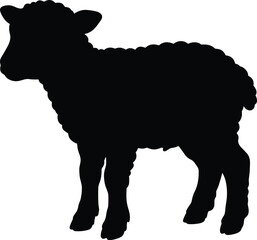 Black silhouette of a fluffy sheep standing, isolated on a plain white background © Md Ziaul