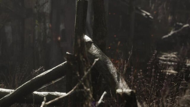 Branches and logs are scattered on the ground in a dim area. The light barely reaches the dark plants nearby. The setting appears abandoned and worn down.