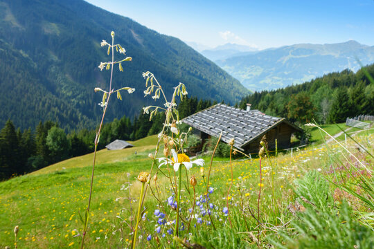 altes Bauernhaus in den Alpen von &Ouml;sterreich