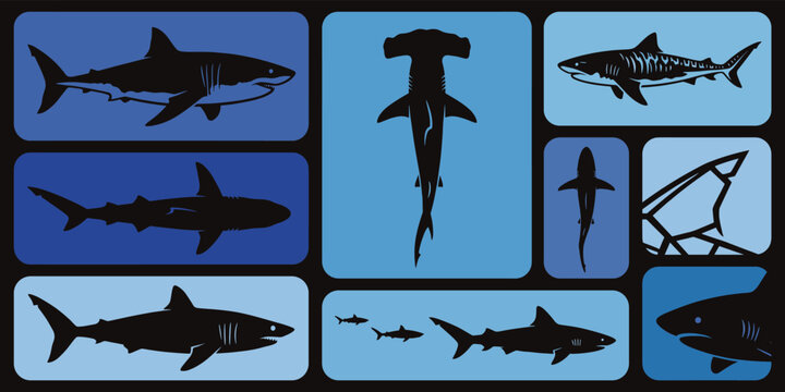 Collection of various shark species silhouettes including hammerhead, great white, and tiger sharks displayed in a modern blue grid pattern layout for marine biology and ocean conservation.