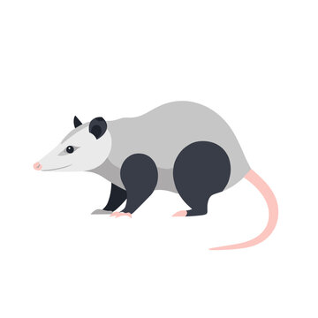 Minimalist opossum head icon with pink nose and black whiskers