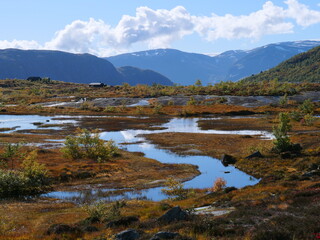 Fototapeta premium Scenic autumn landscape during a roadtrip in Norway featuring tundra ponds and distant blue mountains
