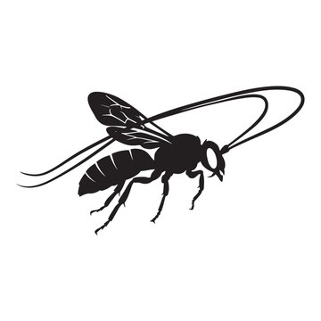 Black and white silhouette of flying insect with transparent background