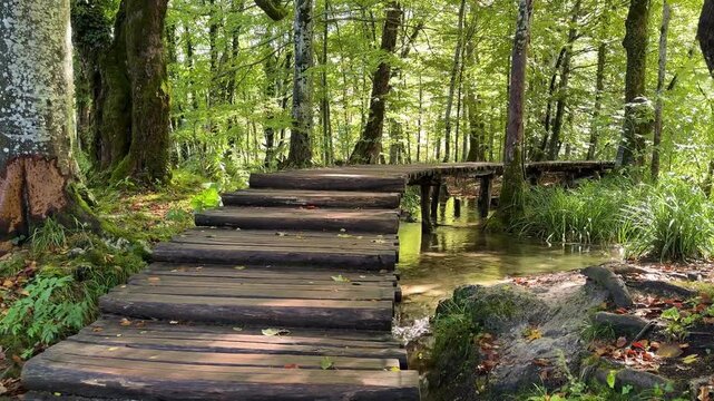 Plitvicka Jezera, Croatia - October 06, 2025: Plitvice Lakes National Park. Scenic pathway along tranquil lake surrounded by lush greenery and vibrant autumn foliage in serene natural setting