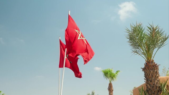 Moroccan Flags Waving Against Blue Sky With Palm Trees, National Red Flag With Green Star