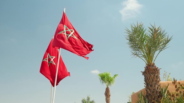 Moroccan Flags Waving Against Blue Sky With Palm Trees, National Red Flag With Green Star
