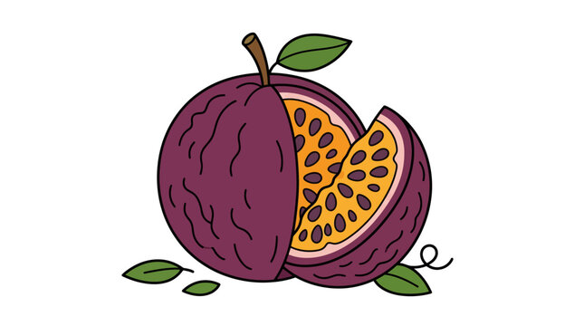 Hand drawn illustration of a fresh purple passion fruit with a slice.